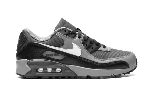 Air Max 90 GORE-TEX "Dark Smoke Grey" FD5810 002
