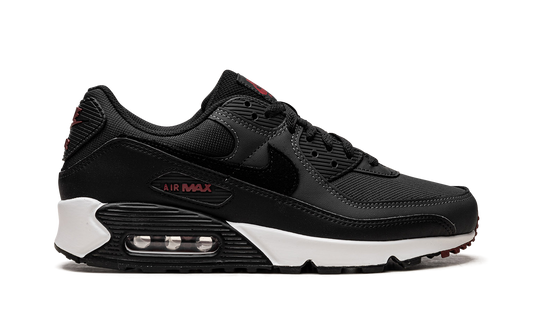 Air Max 90 "Anthracite Team Red" DQ4071 001