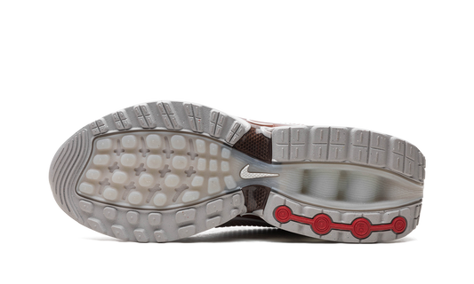 Air Max Dn "Light Orewood Brown" FJ3145 101
