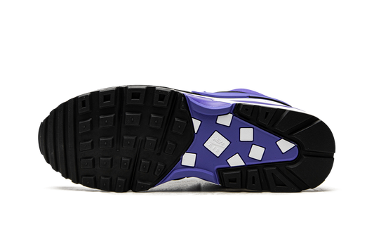 Air Max BW OG "Persian Violet (2021)" DJ6124 001