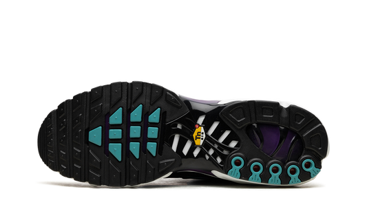Air Max Plus "Reverse Grape" FQ2415 500