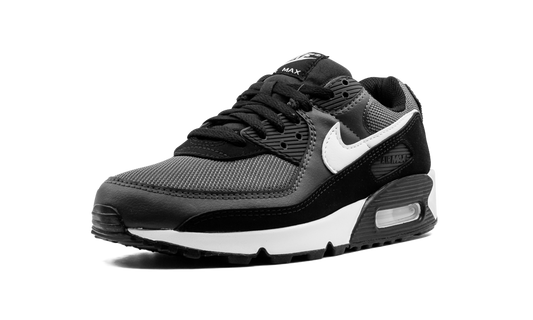 Air Max 90 "Iron Grey" CN8490 002