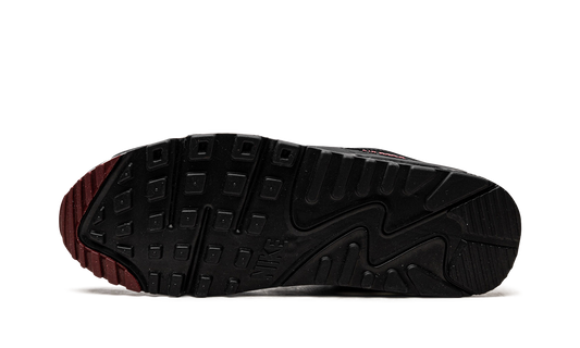 Air Max 90 "Anthracite Team Red" DQ4071 001