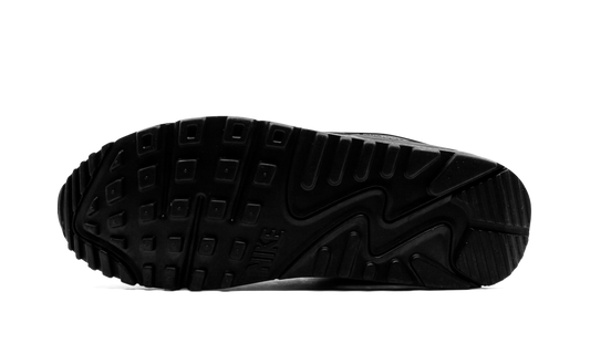 Air Max 90 "Iron Grey" CN8490 002