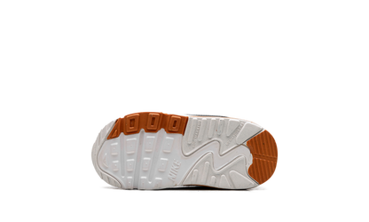 Air Max 90 LTR TD "PURE PLATINUM" CD6868 023