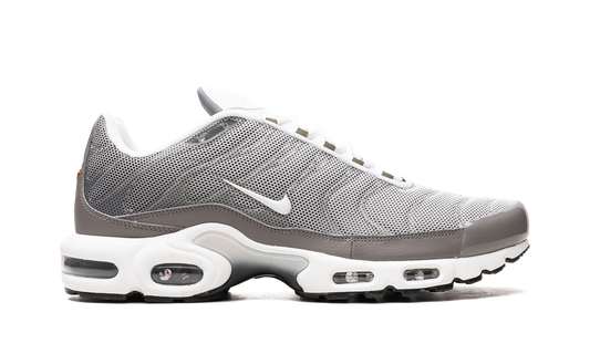 Air Max Plus SE "Flat Pewter" DV7665 002