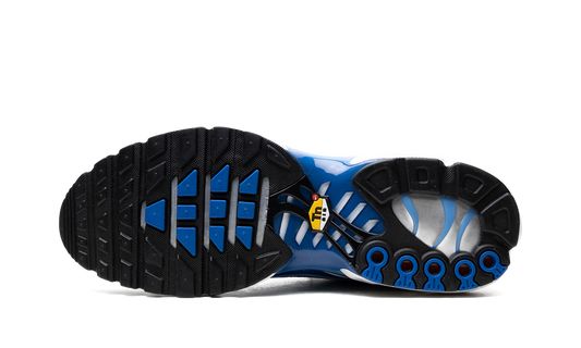 Air Max Plus "Light Streaks" DZ3531 400