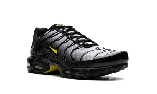 Air Max Plus "Wolf Grey Opti Yellow" DM0032 012