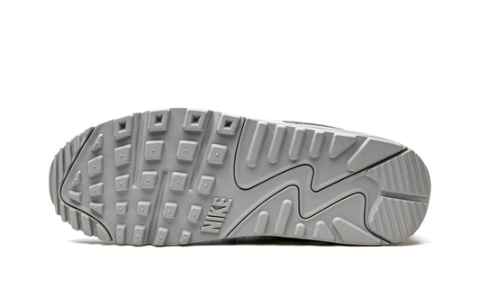 Air Max 90 "Wolf Grey" CN8490 001