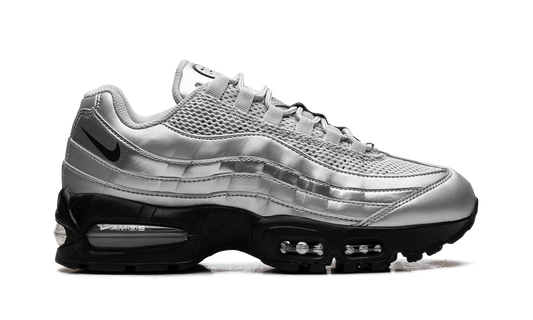 Nike Air Max 95 "Total 90 - Metallic Silver" IB6830 002