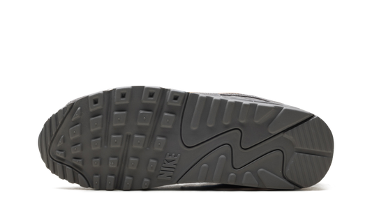 Air Max 90 Premium "Copper Moon College Grey" IB7467 029