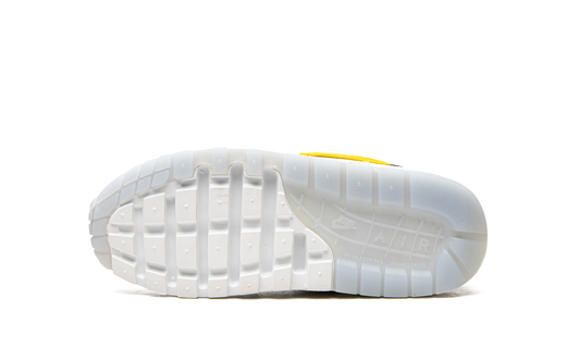 Air Max 1 GS "Daisy Pack" CW5861 100