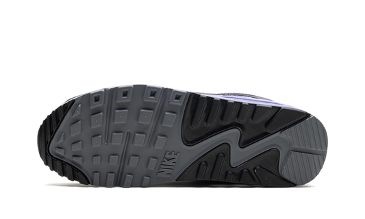 Air Max 90 "Light Thistle" DM0029 014